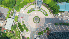 大面积绿化一般都