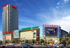 <strong>月星集团历经29年</strong>